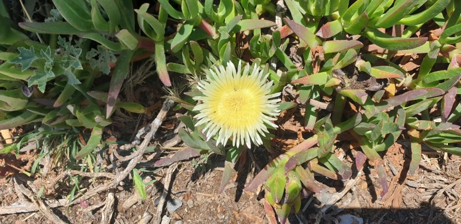 KakaoTalk_20220626_223824634_06_(2).jpg?type=w1