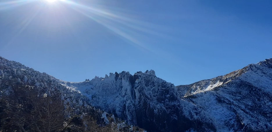 20211210_122151.jpg?type=w1