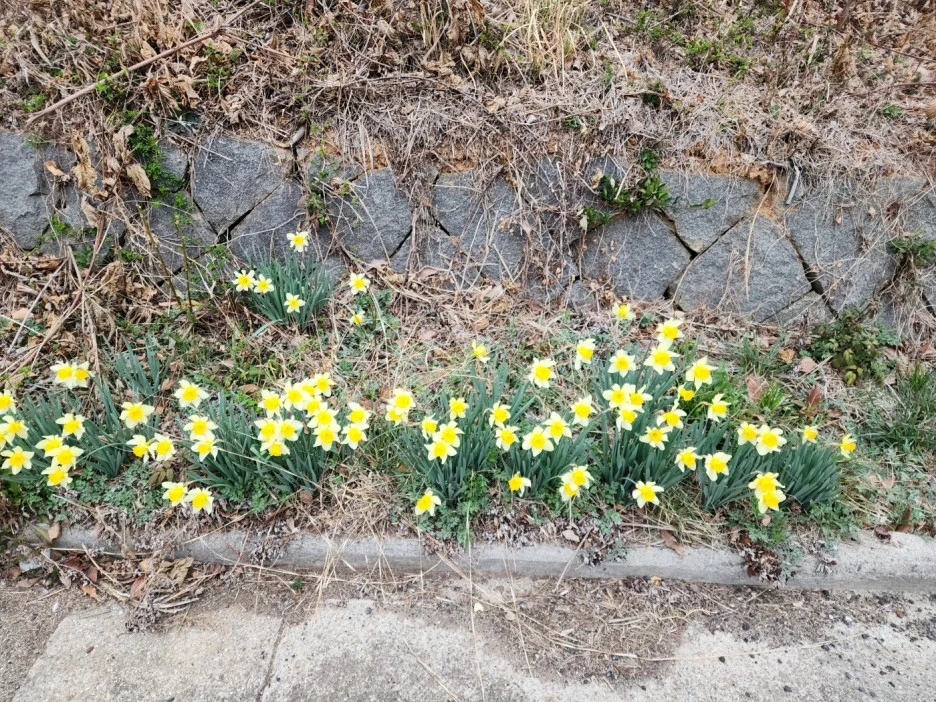 KakaoTalk_20230323_021520355.jpg?type=w1