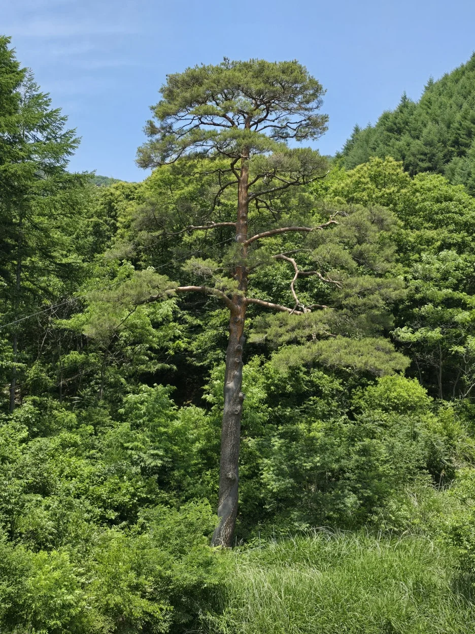 KakaoTalk_20250620_142407780_21.jpg?type=w1