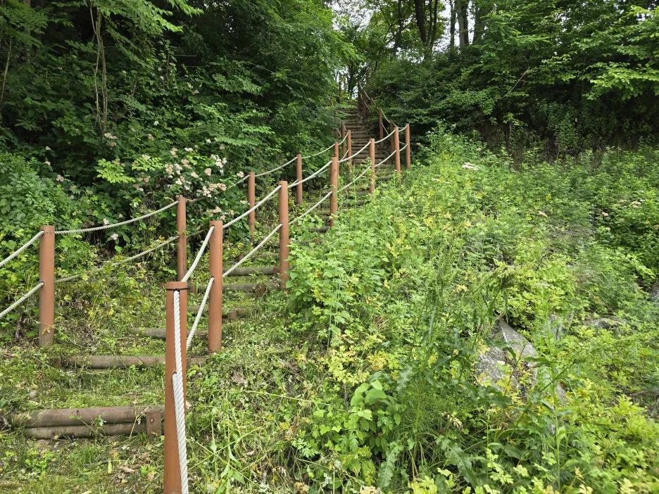 KakaoTalk_20250622_033302012_27.jpg?type=w1