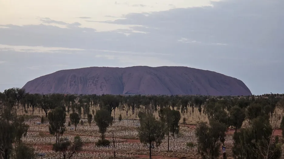 KakaoTalk_20251028_052952413_13.jpg?type=w1