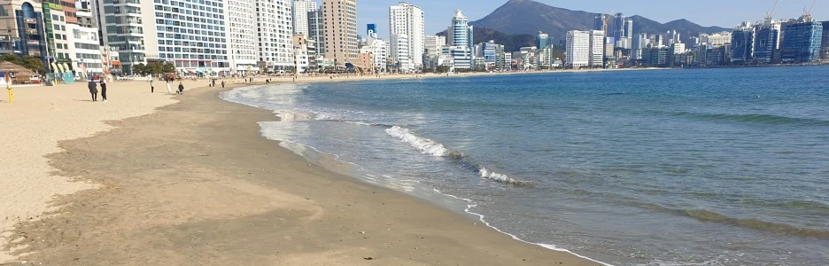 SE-6b9420f6-aa03-4e0a-9a78-b97f534768be.jpg?type=w1