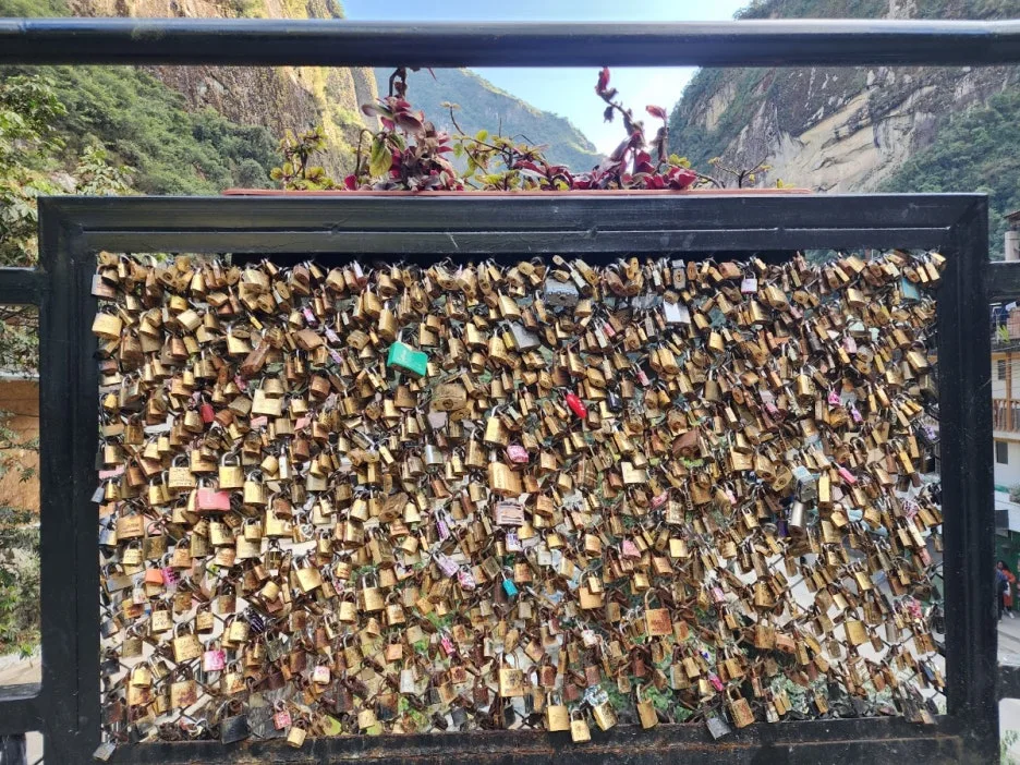 KakaoTalk_20240711_091758125_02.jpg?type=w1