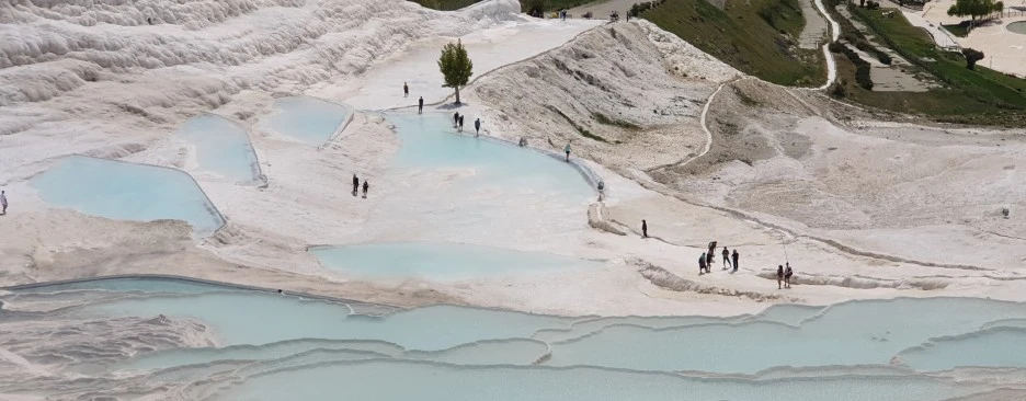 SE-a1727dd0-d51d-47f3-a961-a4707fd809a0.jpg?type=w1