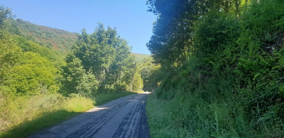 KakaoTalk_20220610_013541935_02.jpg?type=w1