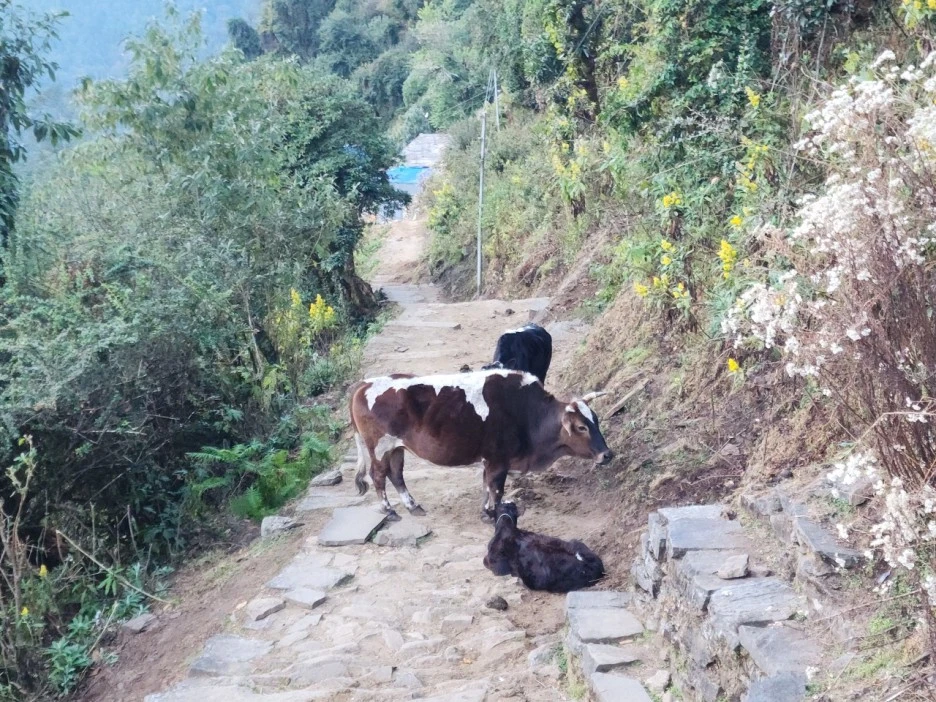 KakaoTalk_20221120_223727669_02.jpg?type=w1