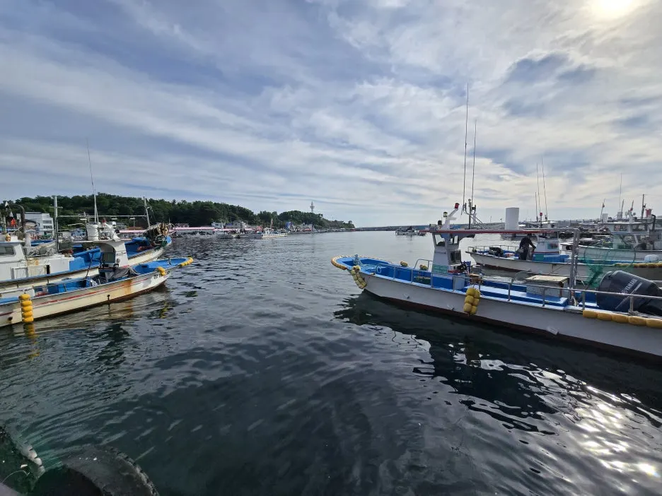 KakaoTalk_20250624_153910157_01.jpg?type=w1