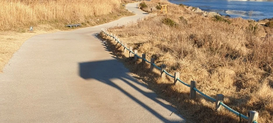 SE-81b598b6-0de3-4de8-b48a-12de96bdd642.jpg?type=w1