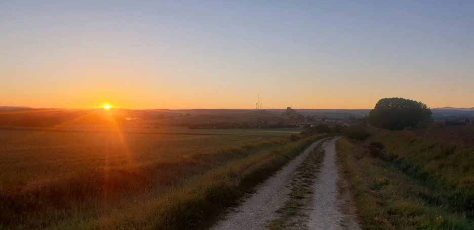 KakaoTalk_20220530_005942927.jpg?type=w1