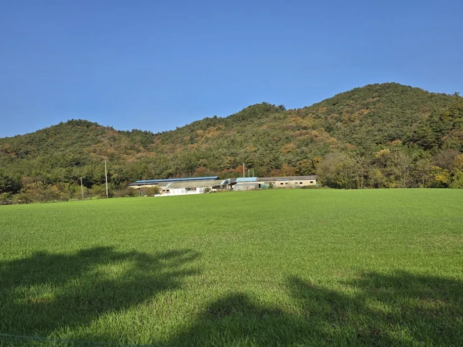 KakaoTalk_20241113_031257885_04.jpg?type=w1