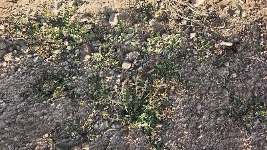 KakaoTalk_20251208_152411710.jpg?type=w1