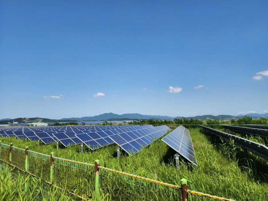 KakaoTalk_20240518_202622302_23.jpg?type=w1