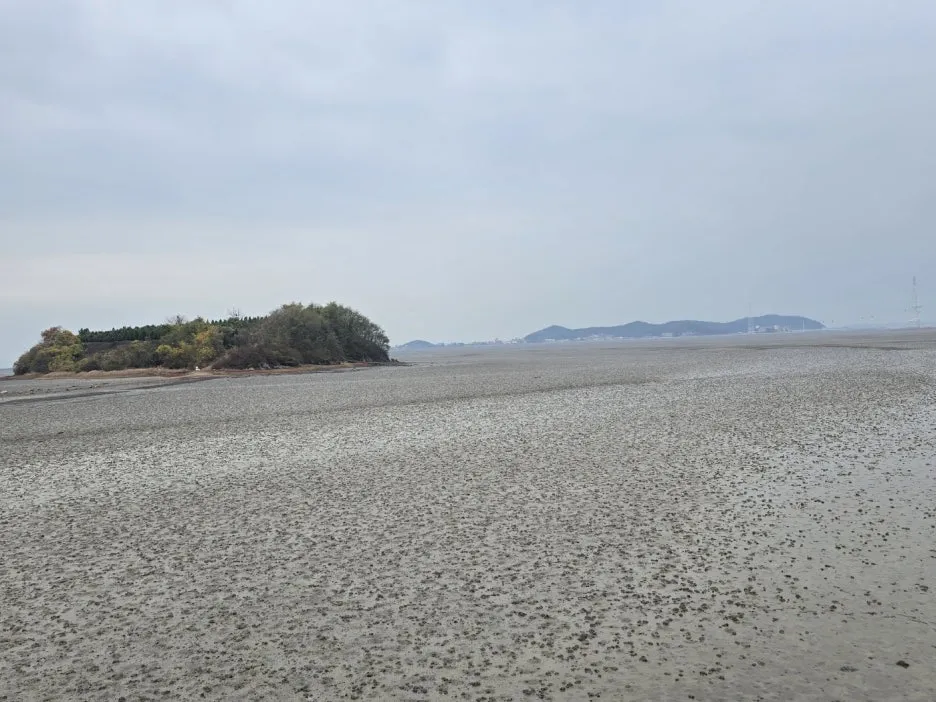 KakaoTalk_20241121_163313957_26.jpg?type=w1