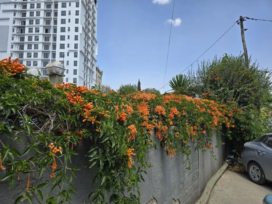 KakaoTalk_20250305_185538406_18.jpg?type=w1