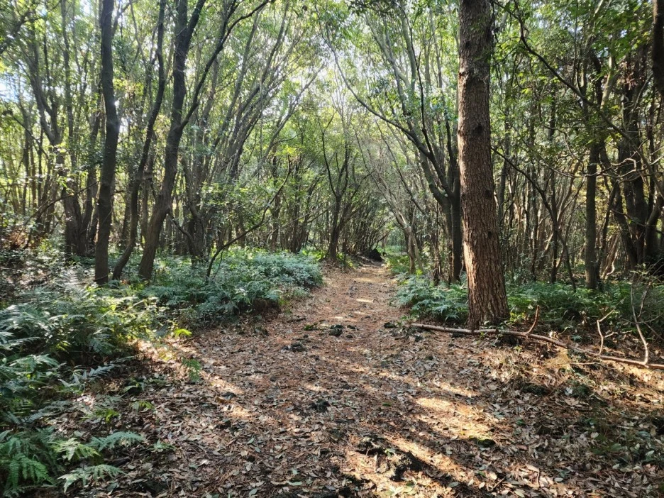 KakaoTalk_20221227_053634383_11.jpg?type=w1