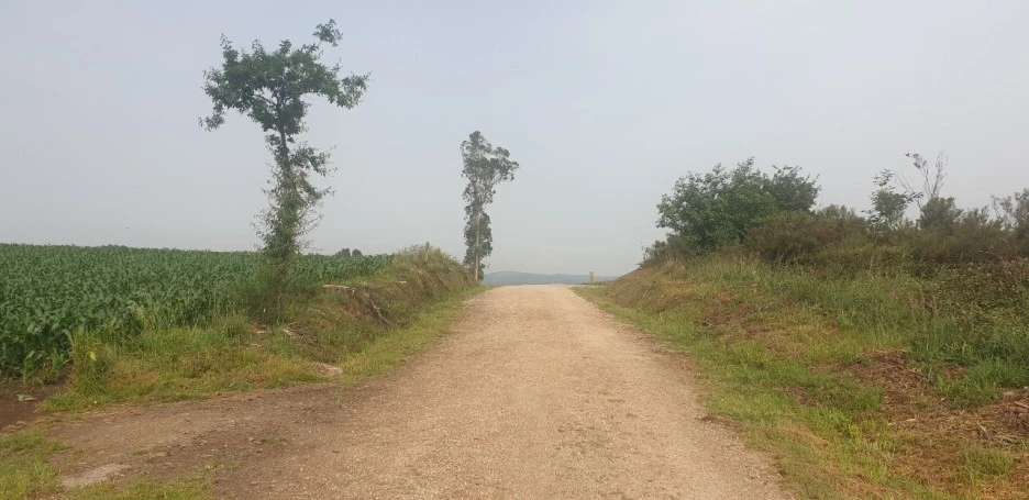 KakaoTalk_20220621_020901713_10.jpg?type=w1