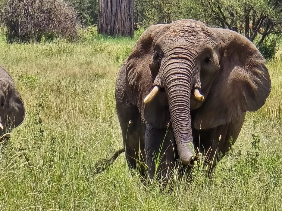 KakaoTalk_20250405_112215504_11.jpg?type=w1