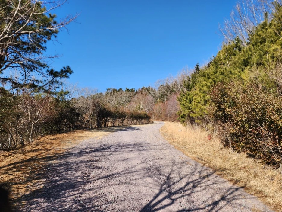 KakaoTalk_20230205_061347440_05.jpg?type=w1