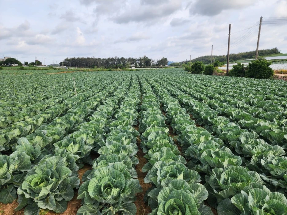 KakaoTalk_20240512_032903167_01.jpg?type=w1