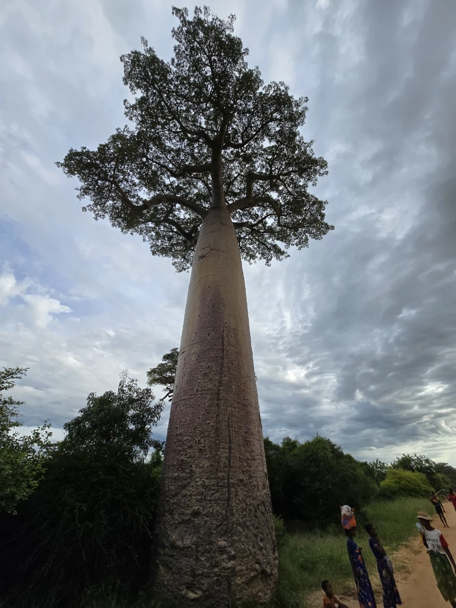 KakaoTalk_20250313_021335192_06.jpg?type=w1