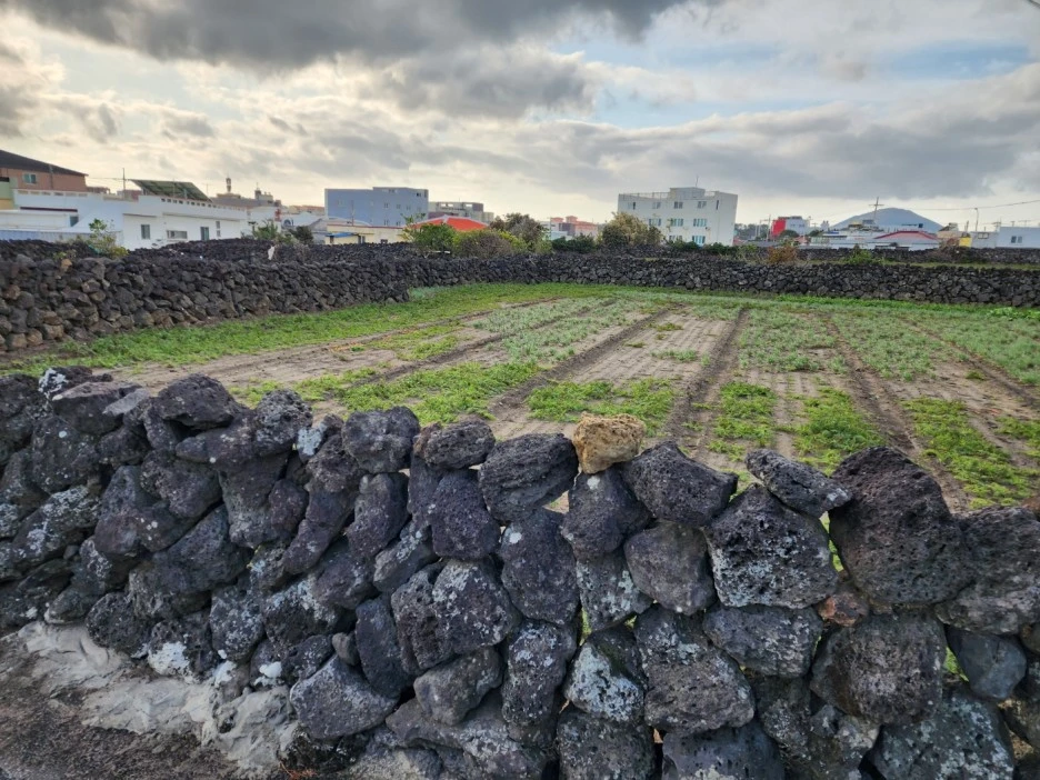 KakaoTalk_20221230_044226047_02.jpg?type=w1