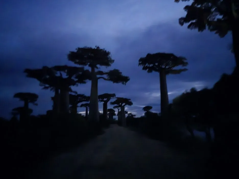 KakaoTalk_20250313_022108212.jpg?type=w1