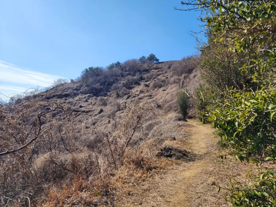 KakaoTalk_20230222_042528809_15.jpg?type=w1