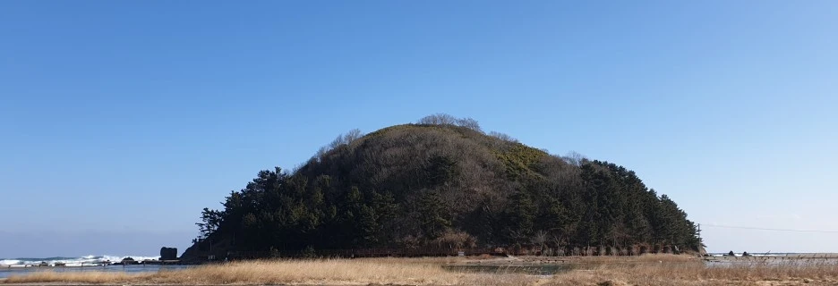 SE-20c7f3f2-aaf2-4ba9-a95e-f4b90bce01d9.jpg?type=w1