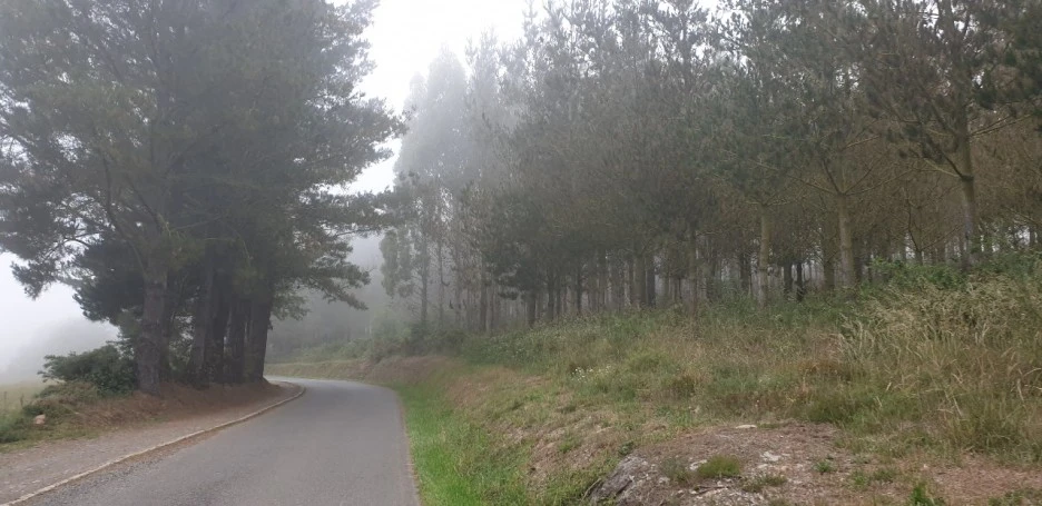 KakaoTalk_20220612_223330161_07.jpg?type=w1