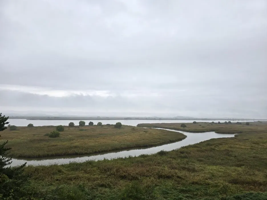 KakaoTalk_20241017_044845874_01.jpg?type=w1