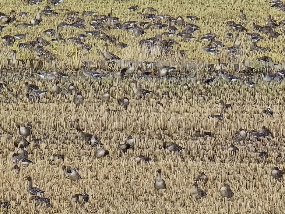 KakaoTalk_20241101_144709581_23.jpg?type=w1