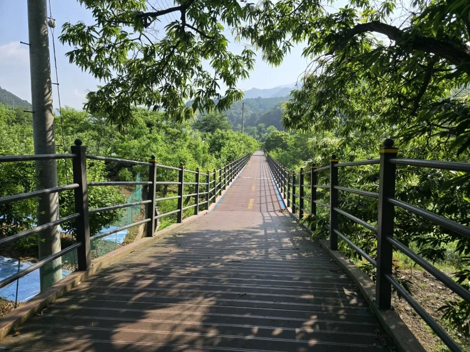 KakaoTalk_20250618_170048774_13.jpg?type=w1