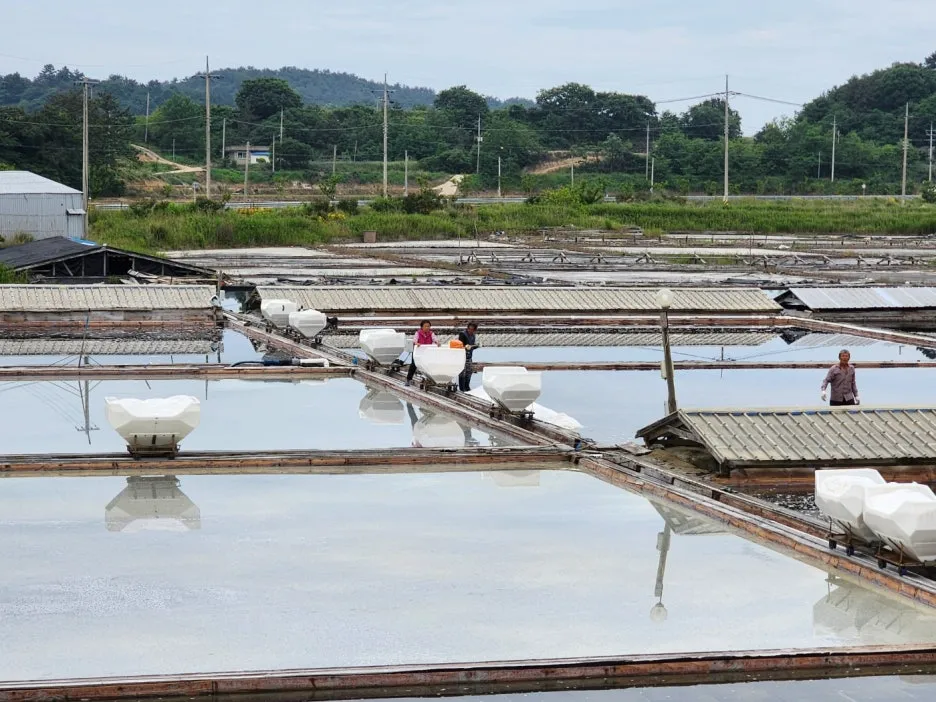 KakaoTalk_20240530_172310696_11.jpg?type=w1