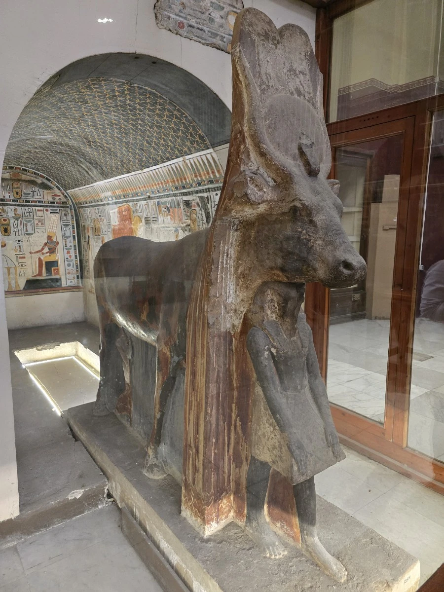 KakaoTalk_20250221_172442795.jpg?type=w1