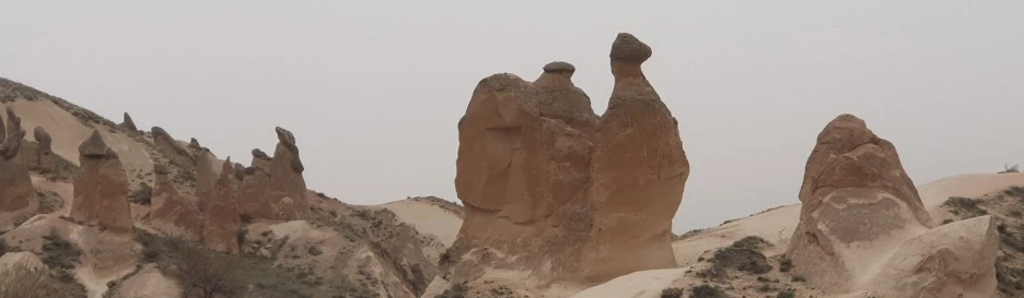 SE-ca47d08a-1212-447a-a9d2-e77dcad2dfe0.jpg?type=w1