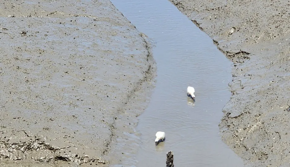 SE-c7f099a1-b4ca-48a5-b8ed-ff90bceefde3.jpg?type=w1