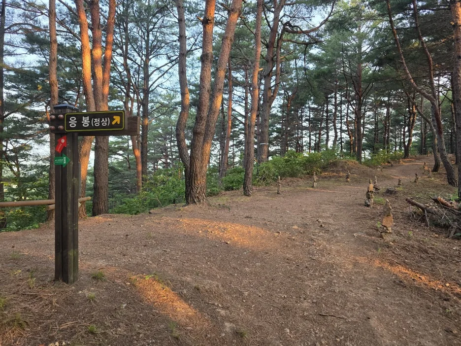 KakaoTalk_20250624_153636444_09.jpg?type=w1