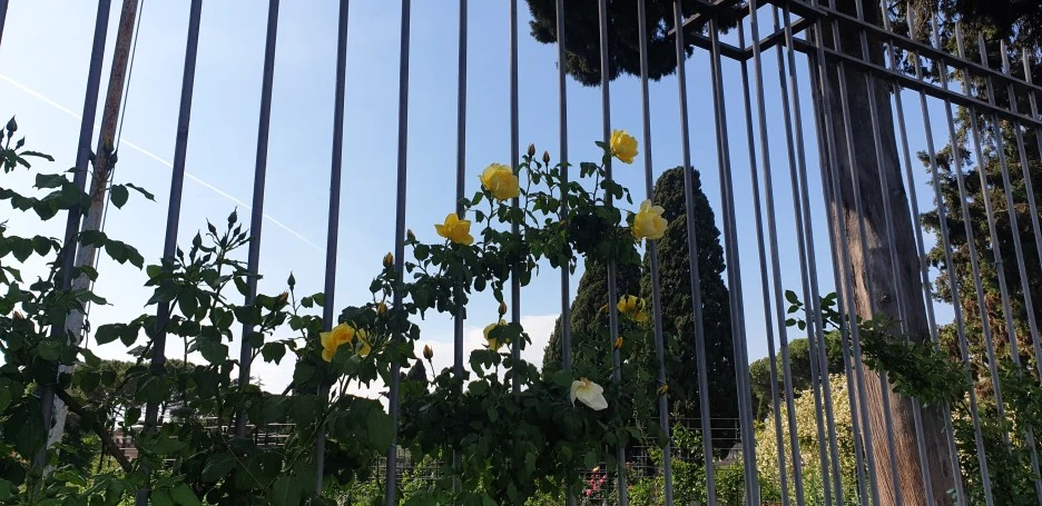 20220503_162617.jpg?type=w1