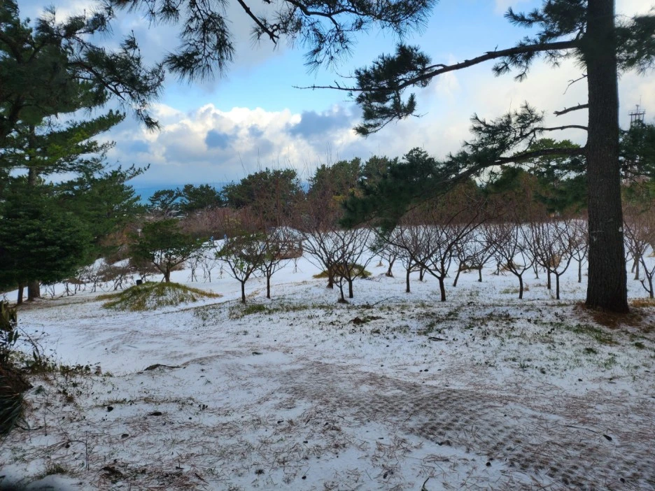 KakaoTalk_20221228_163352103_09.jpg?type=w1