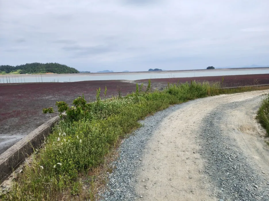 KakaoTalk_20240526_220649914_22.jpg?type=w1