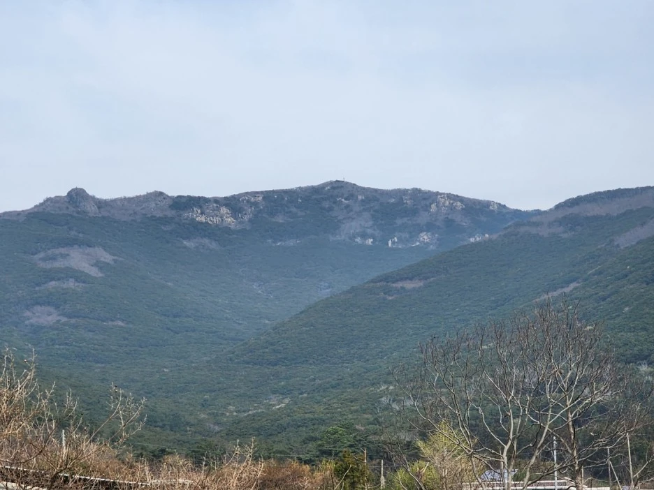 KakaoTalk_20230331_035853682_11.jpg?type=w1