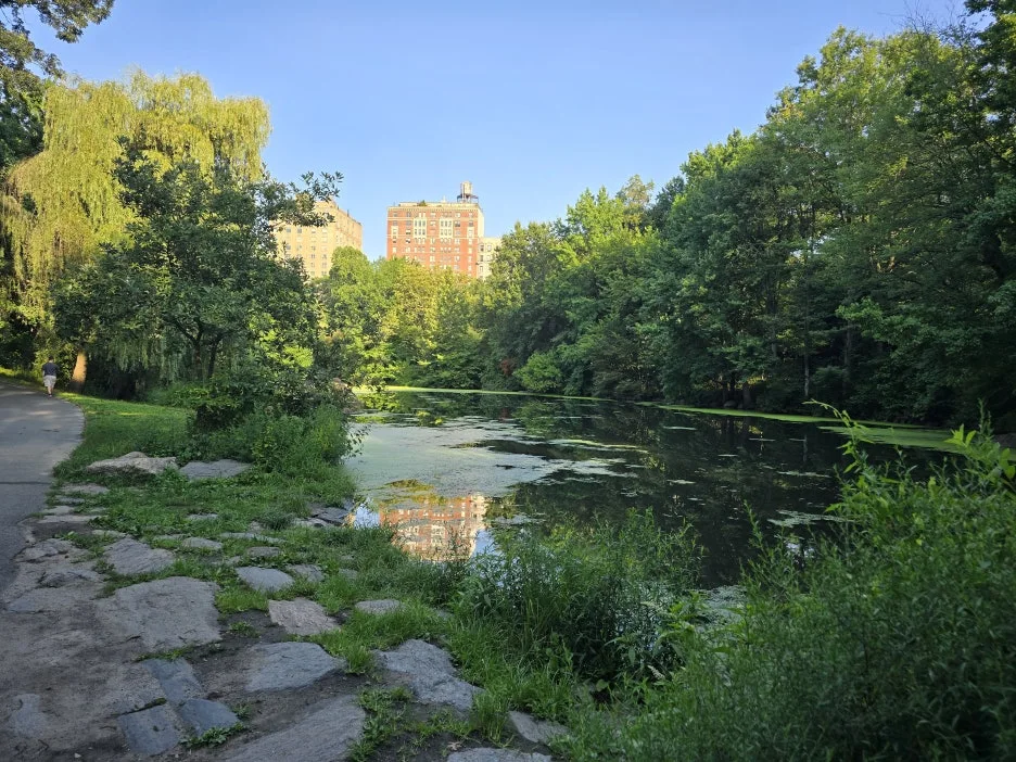 KakaoTalk_20250806_192416139_02.jpg?type=w1