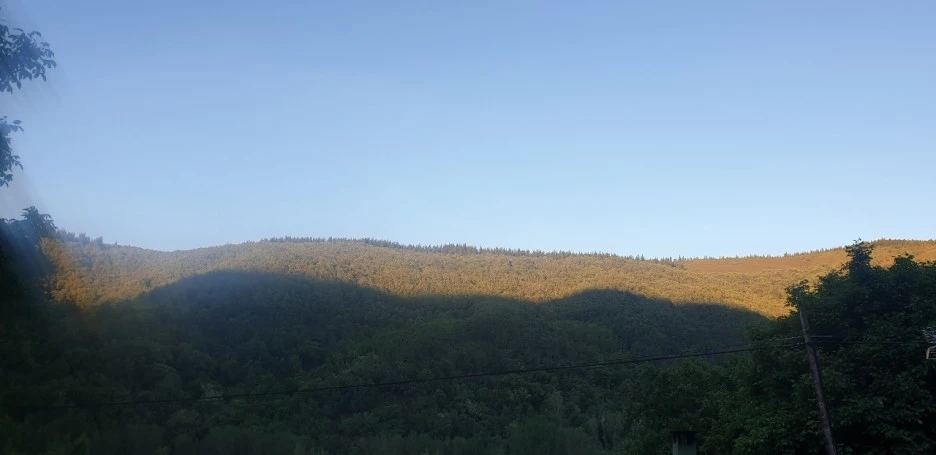 KakaoTalk_20220610_013120414_03.jpg?type=w1