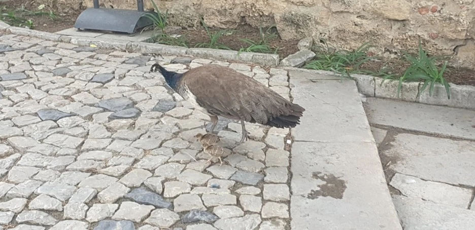 KakaoTalk_20220626_223413731_05.jpg?type=w1