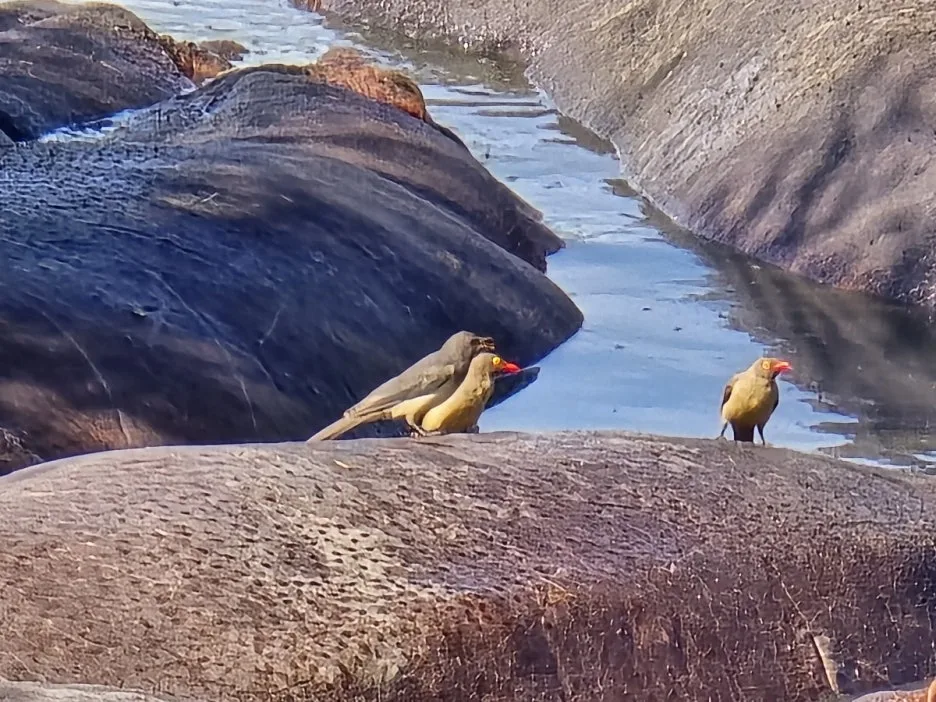 KakaoTalk_20250405_135250372_07.jpg?type=w1