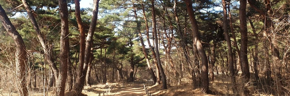 SE-090b4624-5b4d-4583-85cd-7f66b9bb4a40.jpg?type=w1