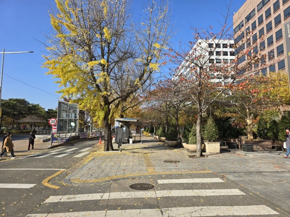 KakaoTalk_20250114_082416343_06.jpg?type=w1