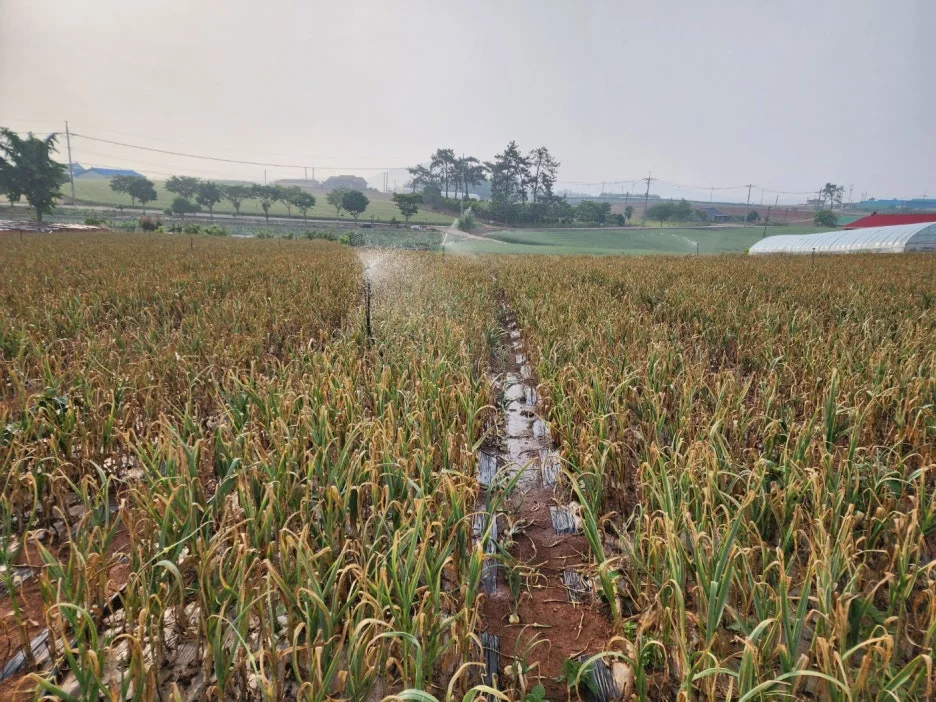 KakaoTalk_20240522_155445364.jpg?type=w1