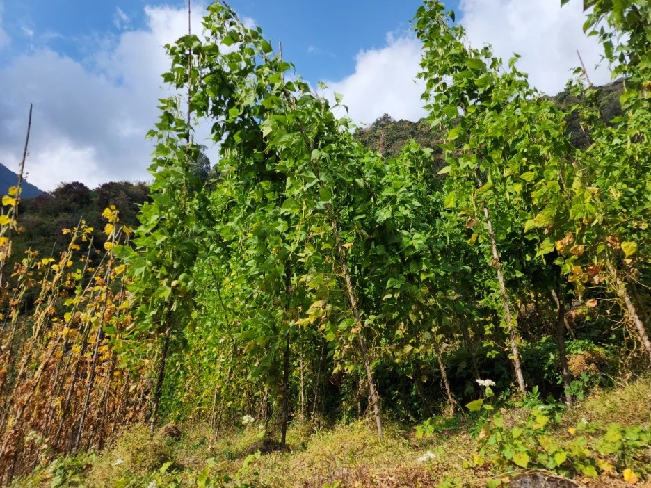 KakaoTalk_20221117_073228420_06.jpg?type=w1